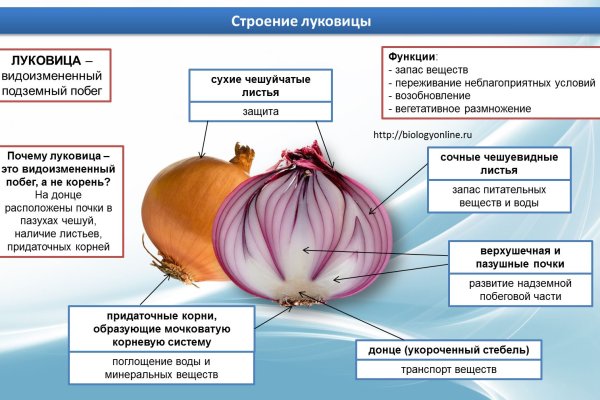 Как регистрироваться и заходить на кракен даркнет